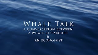 Whale Talk Ep.1| Great Whale Conservancy | Michael Fishbach