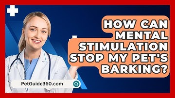 How Can Mental Stimulation Stop My Pet