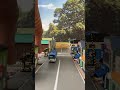 シン・バスコレ走行システムVol3 #バスコレ走行システム#鉄道模型 #踏切