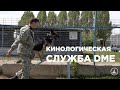 Как работает кинологическая служба DME?