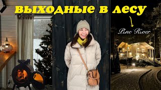 где провести новогодние праздники?🎄🪵// отличная идея для отдыха этой зимой