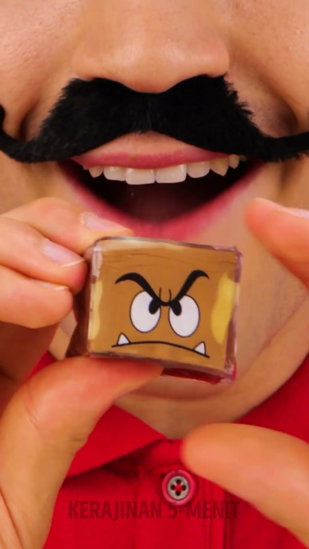 Pita Nano MARIO