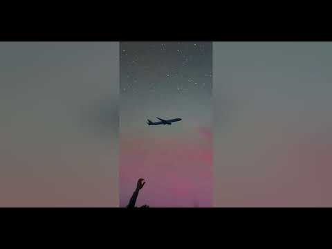 Suno Зорі Suno Music