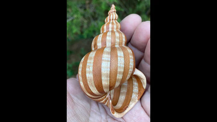 Free Wood Shell Pattern