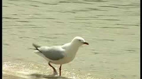 Complete Calm - Horizon Blue - by Tony O