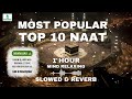 Lofi Naat Top 10 Naat Most Popular  1       lofinaat  naat