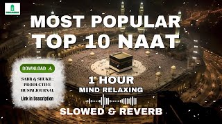 Lofi Naat Top 10 Naat Most Popular [𝐒𝐥𝐨𝐰𝐞𝐝 𝐑𝐞𝐯𝐞𝐫𝐛] 1 𝐇𝐨𝐮𝐫 𝐌𝐢𝐧𝐝 𝐑𝐞𝐥𝐚𝐱 𝐒𝐥𝐨𝐰𝐞𝐝 𝐍𝐚𝐚𝐭 #lofinaat #naat