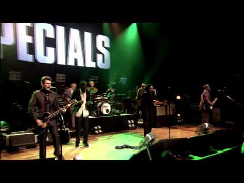 the specials 30th anniversary tour dvd