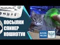 Новые топовые подарки - Подарки от подписчиков #27 - Спинер, айфон и материнки