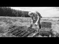 The Capanagh Turfman cutting Peat and Turf filmed  in a bog in Co. Antrim Northern Ireland
