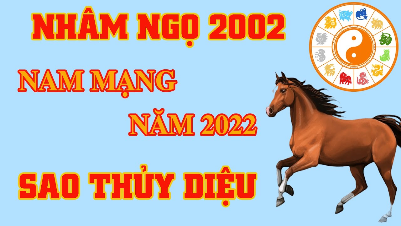 Chồng tuổi Nhâm Ngọ 2002 và vợ tuổi Kỷ Mão 1999 có hợp nhau không? -