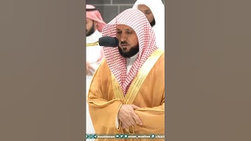 سورة الفاتحة - تلاوة الشيخ #ماهر_المعيقلي