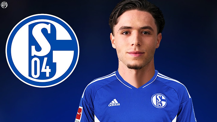 Soufian El-Faouzi 2025 - Welcome to Schalke 04 - Best Skills & Goals | HD