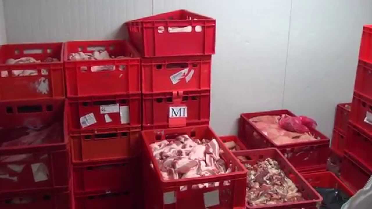 Inovace provozu řeznictví a uzenářství v Bušíně