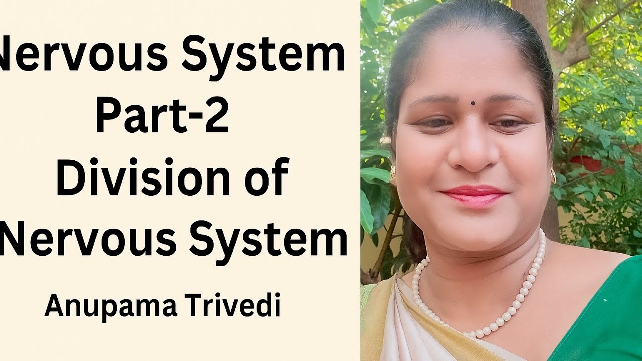 Nervous system part-2 ( Division of nervous system) - YouTube