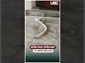 Congress Office Theft Ambikapur: कांग्रेस दफ्तर 'राजीव भवन' में अजीबोगरीब चोरी | UBC NEWS