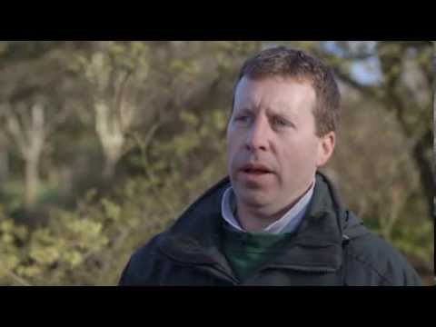 britain in bloom bbc I love my job: Lee, horticulturist at RHS Garden Hyde Hall