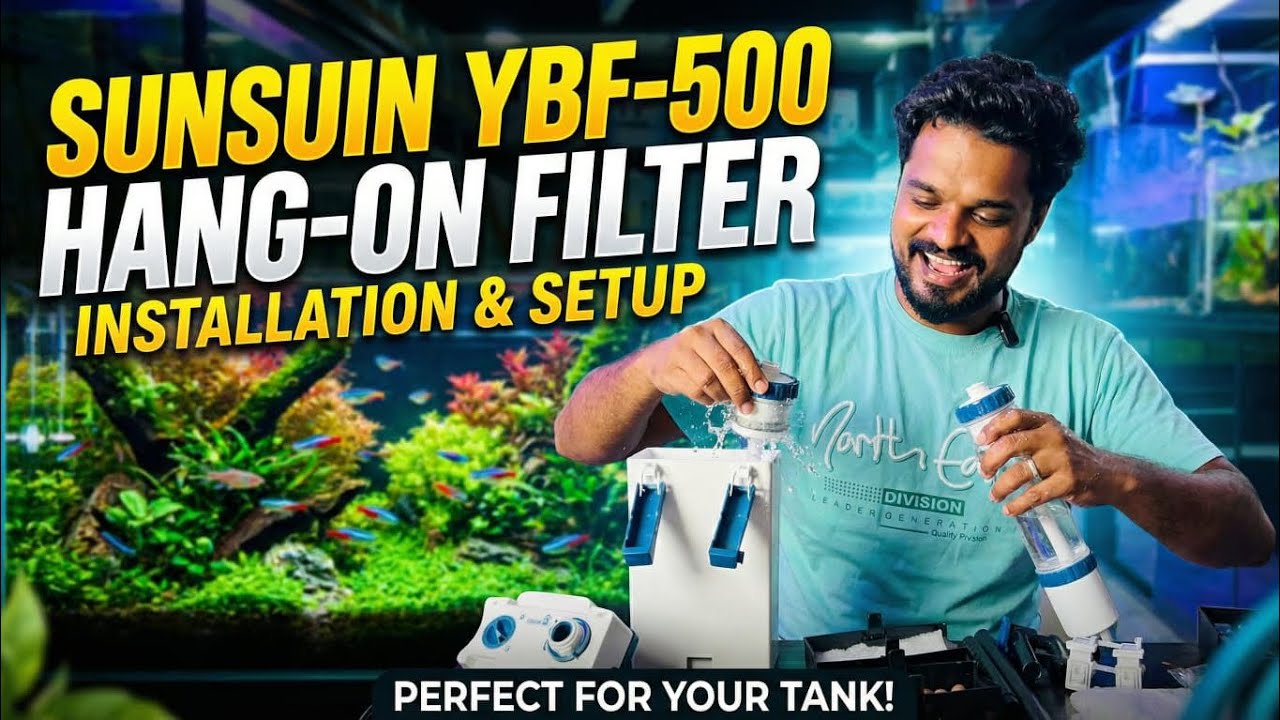 SUNSUN YBF-500 HANG ON FILTER INSTALLATION &SETUP 