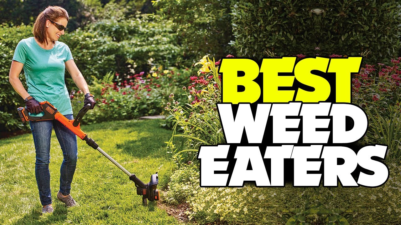 TOP 5 Best Weed Eaters of 2022 Buying Guide! YouTube