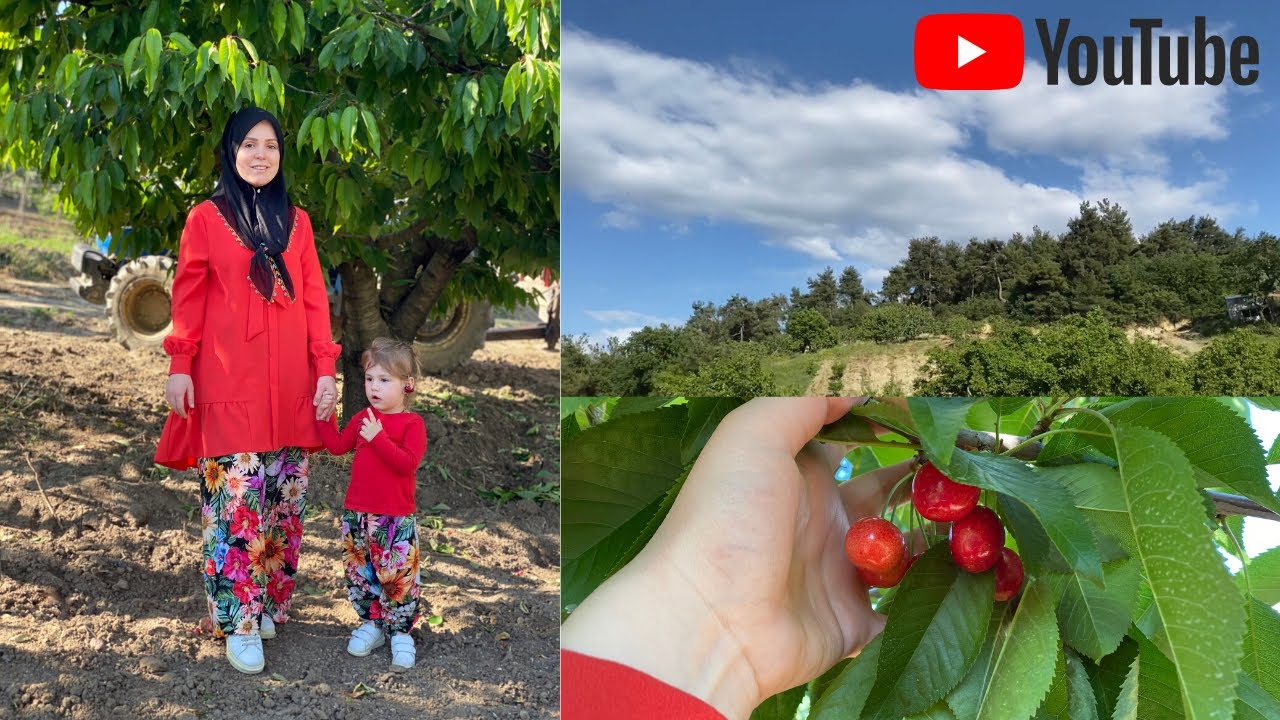 🍒 MEVSİMİ | KARDEŞİM VE EKÜRİSİ İLHAN 😅 KARANTİNALI PAZAR VLOG | NEVRA BİLEM 🌿