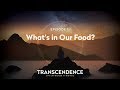 Transcendence episode 1 whats in our food