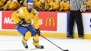 Rasmus Dahlin 2018 IIHF WJC Highlights