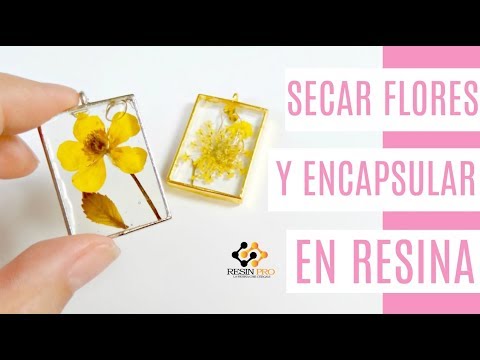 Video: Resina De Flores Apiñadas