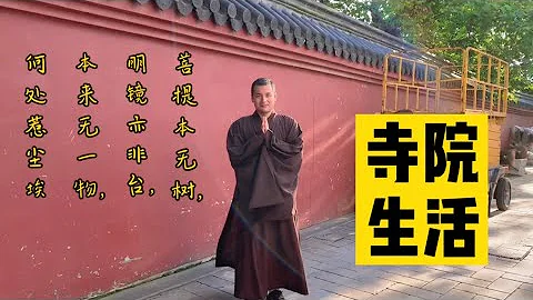 我去寺廟做義工｜在深山古寺生活是一種什麼體驗？生活日常全記錄 - 天天要聞