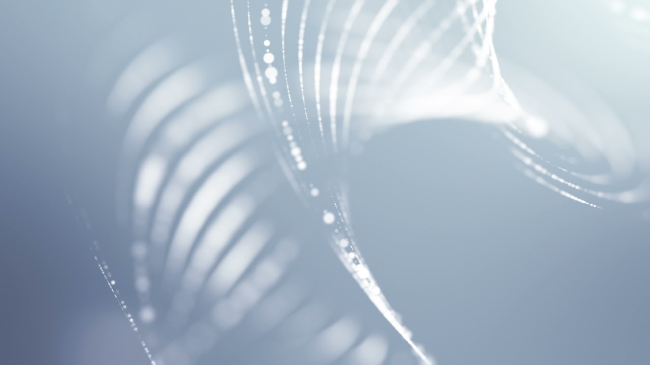 Distorted clean white particle lines dot swirls background