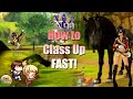 Alicia online  how to class up fast