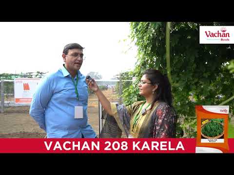 Vachan Karela Seeds || Best Karela Seeds || CB Crop Show 2024 - video from Comienzo Agri Science