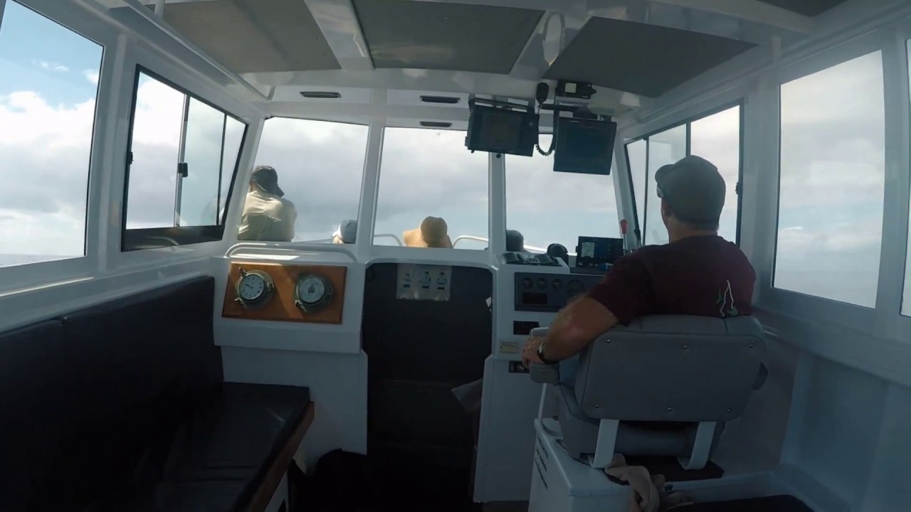 To Ball's Pyramid on the Greenback