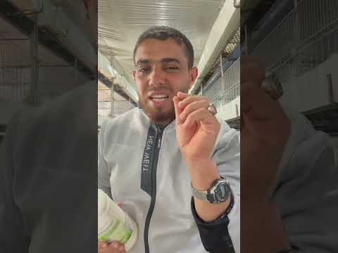 اقوى رافع شهيه لدجاج وفاتح لجهاز التنفسي