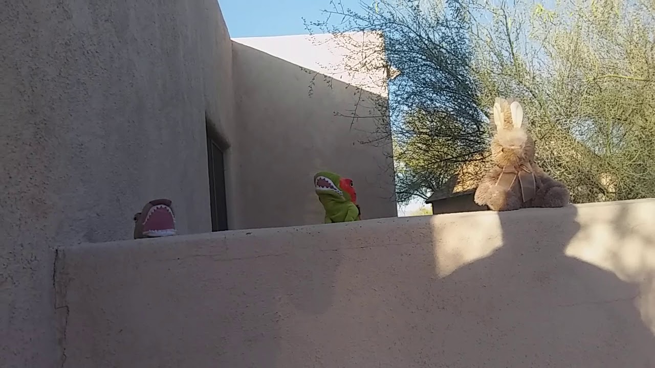 Wall puppet show - YouTube