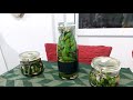 Jalapeños Einlegen Rezept | Pickled Jalapeños 👨🏻‍🍳🌶🫙🧄🍇🍙🧂🔪🙏🏻🍀💚