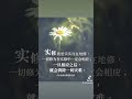 #xinlingfamen #心灵法门慈悲喜舍 #guanyincittadharma #buddhism #lujunhong #白话佛法 #正能量#佛言佛语 #卢台长
