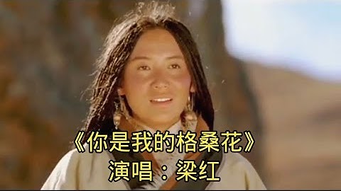 《你是我的格桑花》演唱：梁红 - 天天要闻