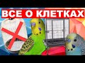 ОБУСТРОЙСТВО КЛЕТКИ ВОЛНИСТОГО ПОПУГАЯ 🦜 КАКАЯ КЛЕТКА ПОДХОДИТ ВОЛНИСТОМУ ПОПУГАЮ 🆘