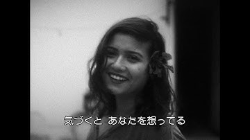 8.8公開『何も知らない夜』予告編