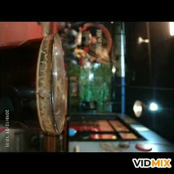 Story whatsapp  (status wa) || Sepanjang jalan kenangan