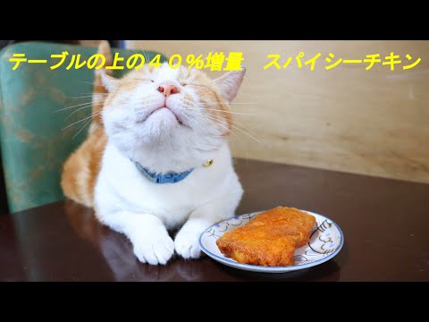 40％増量　スパイシーチキン　220813