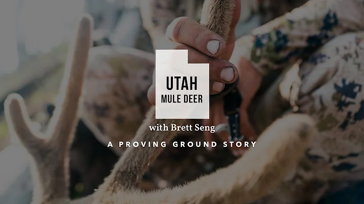 Utah Mule Deer with Brett Seng // Mathews V3 Proving Ground