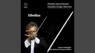 The Swan of Tuonela, Op. 22 No. 2