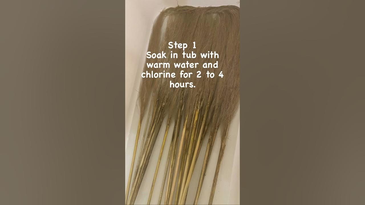 DIY how to make pampas grass lighter or BLEACH PAMPAS GRASS YouTube