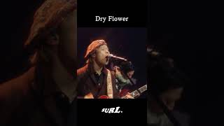 SURL(설) - 'Dry Flower' Live Video with KOCCA