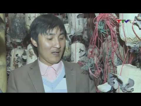 Video Tạp chí Khoa học công nghệ và đời sống 24/12/2016 - YouTube