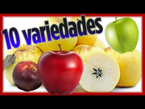 Vídeo: Escolhendo Variedades Caseiras De Maçã