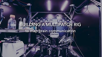 Building a Multipatch Rig to Map Brain Communication