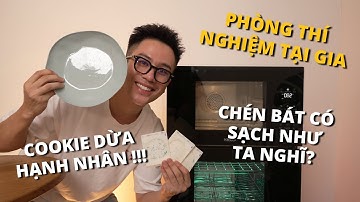 THÍ NGHIỆM CÙNG ÔNG NÔ: Chén bát có sạch như ta nghĩ? // Dinology