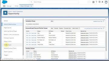 Record Types 101.7 Updating Picklists - Salesforce Lightning